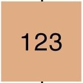 Koh Gen Do Aqua Foundation SPF25 PA++